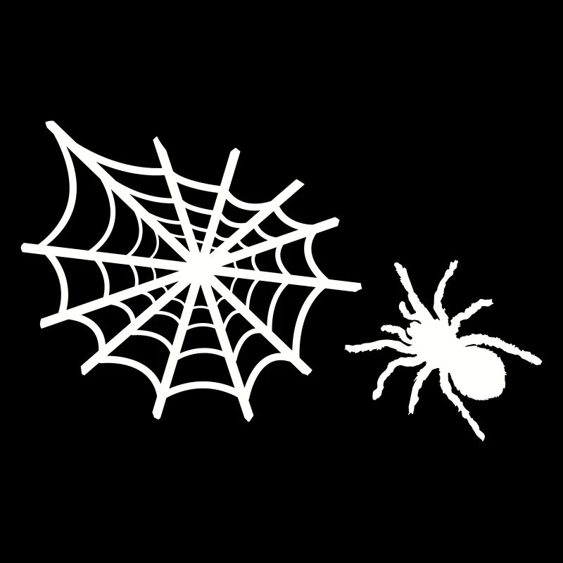 spinne spinnennetz