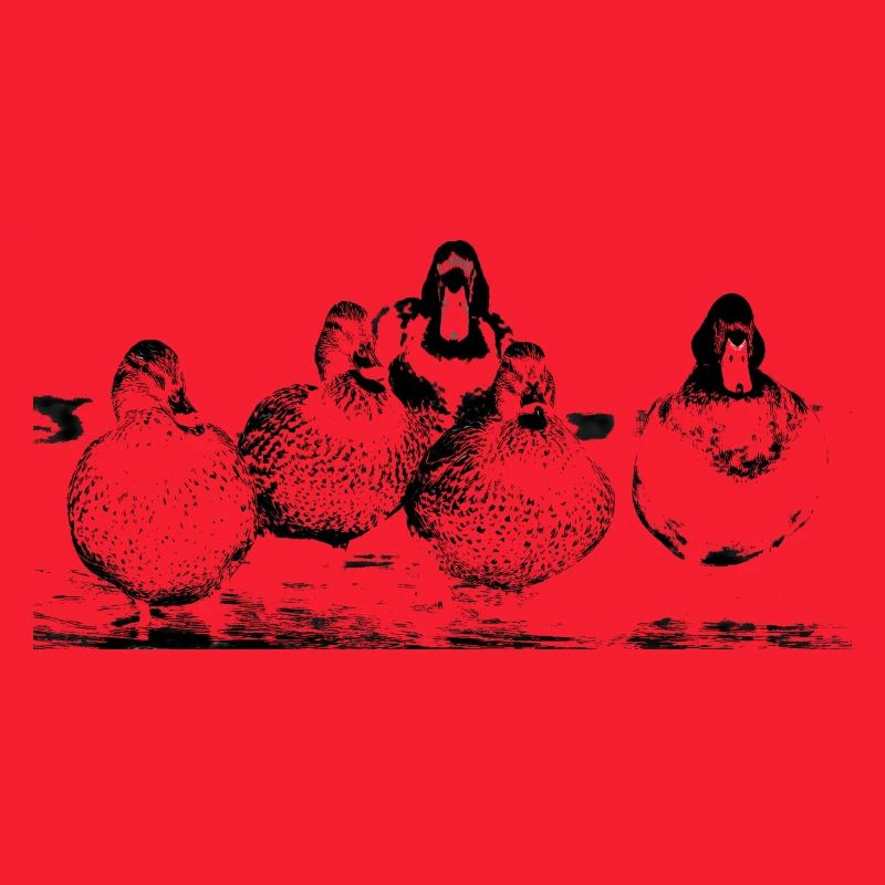 Ducks at the pond