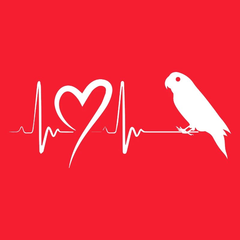 Oiseau perruche perruche perruche