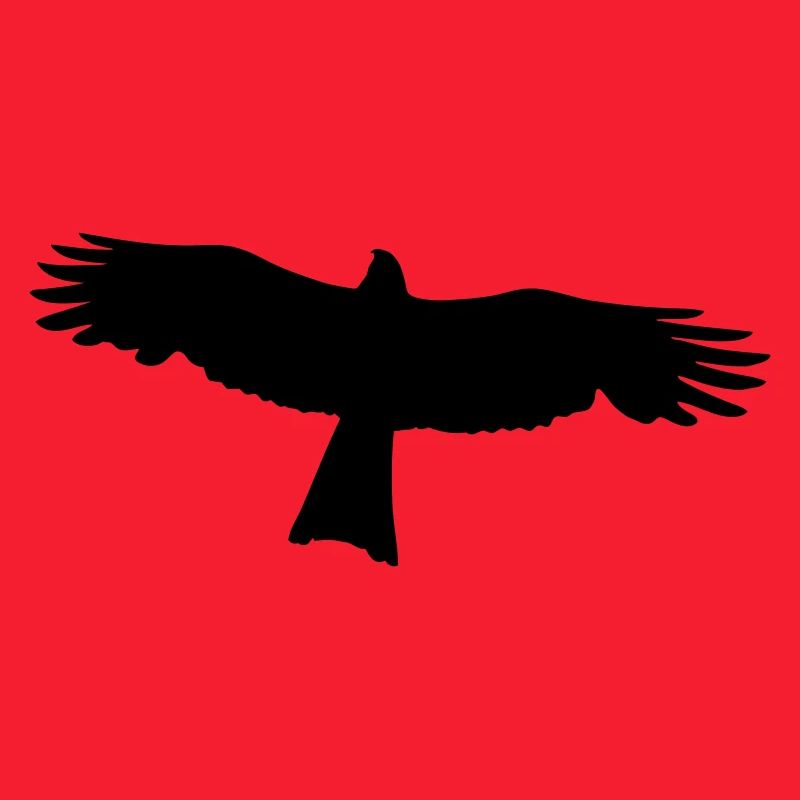 Faucon - Rapace