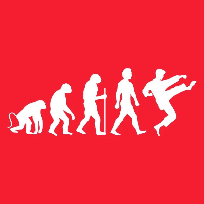 Karaté Évolution