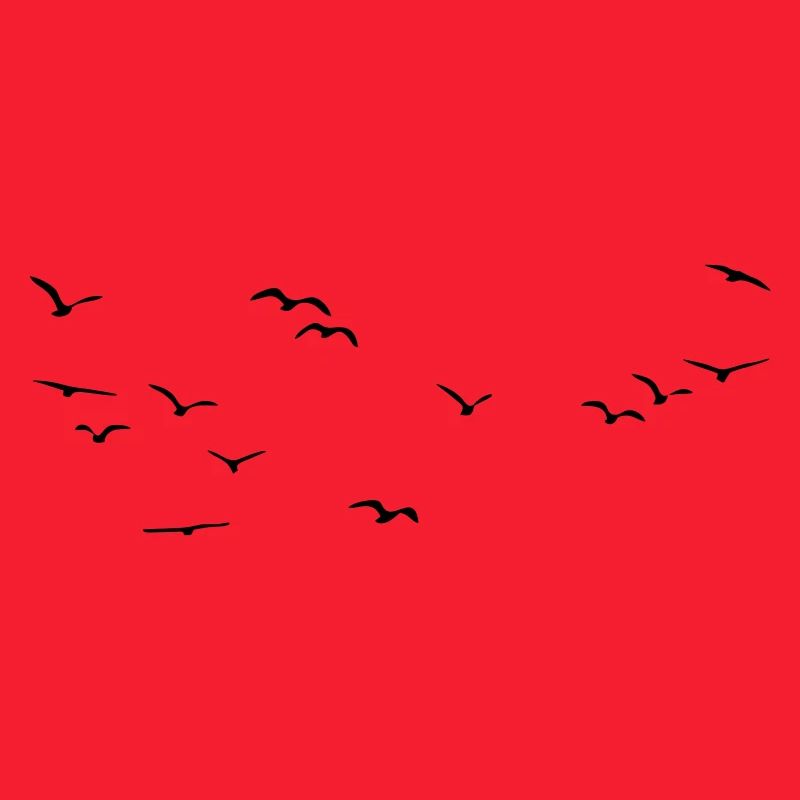 Oiseaux Oiseaux Oiseaux