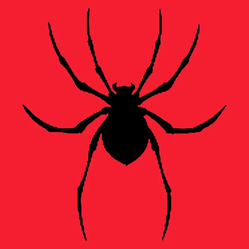 Spider vector graphic