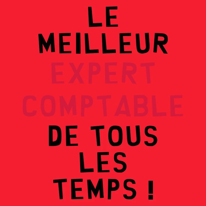 Expert Comptable / Comptabilité / Comptable /