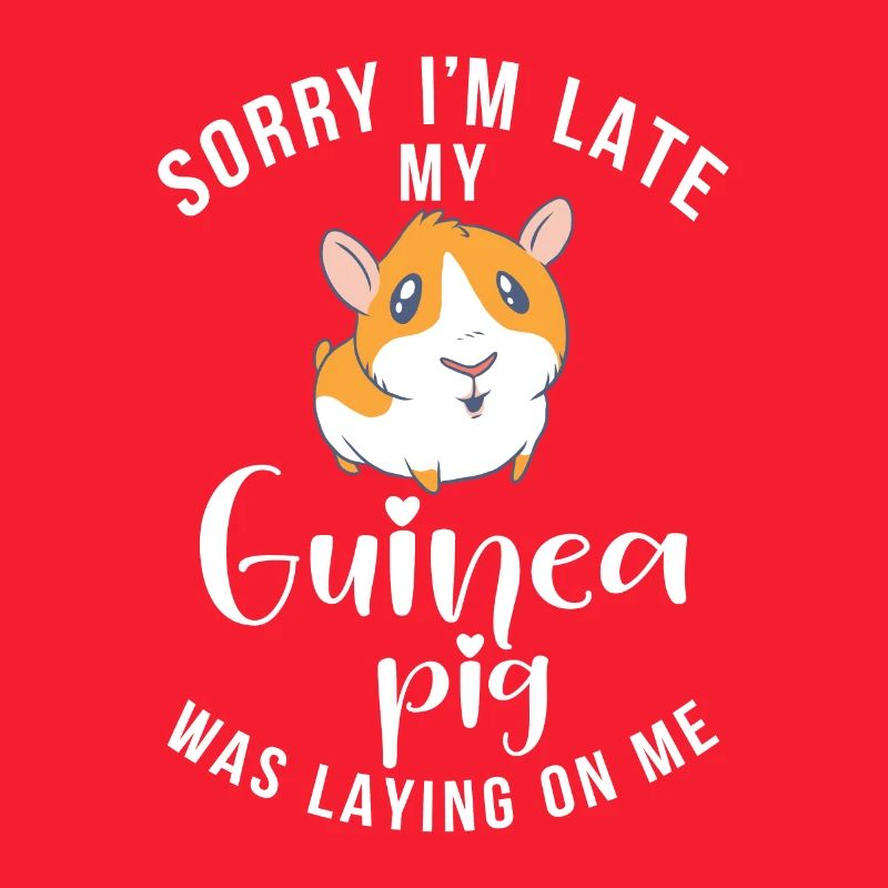 Cadeau mignon cochon d’Inde