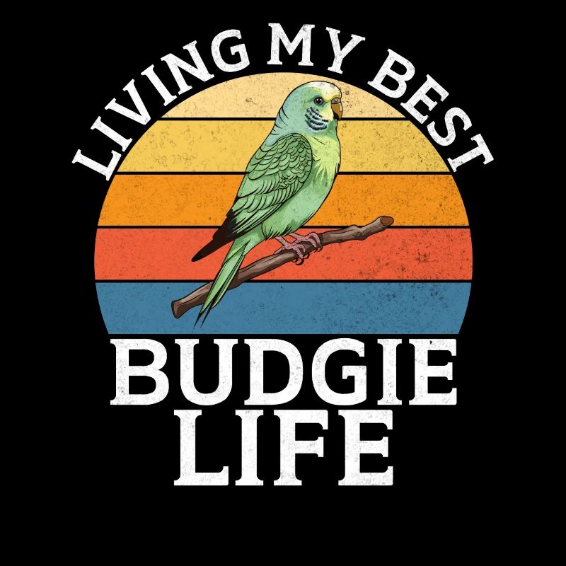 Budgie Gift
