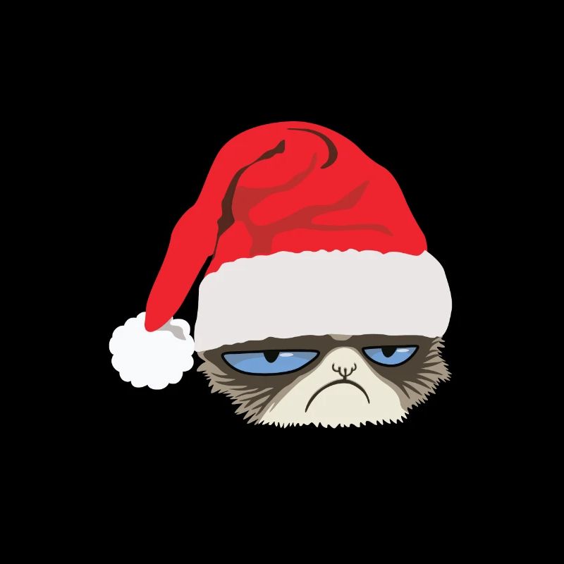 Grumpy Cat mit Weihnachtsmütze