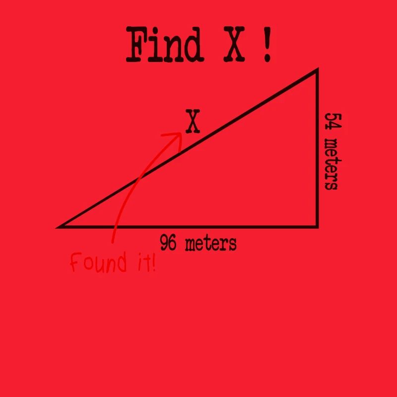 Math Math Meme Find X Found It Pythagore