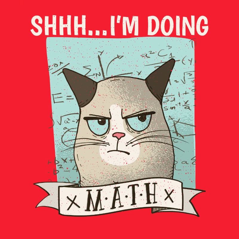 Shhh... I ́m doing Math Cat