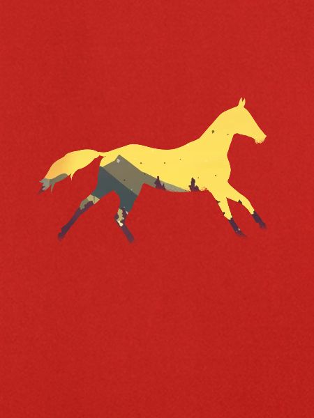 Wildpferd Pferd Pferde Wildpferde