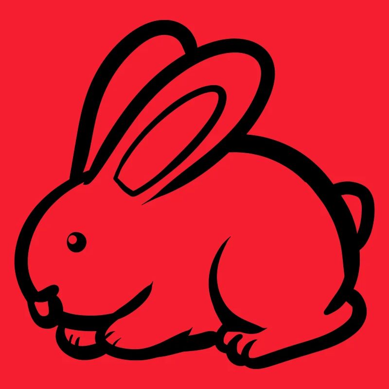 Cool Rabbit