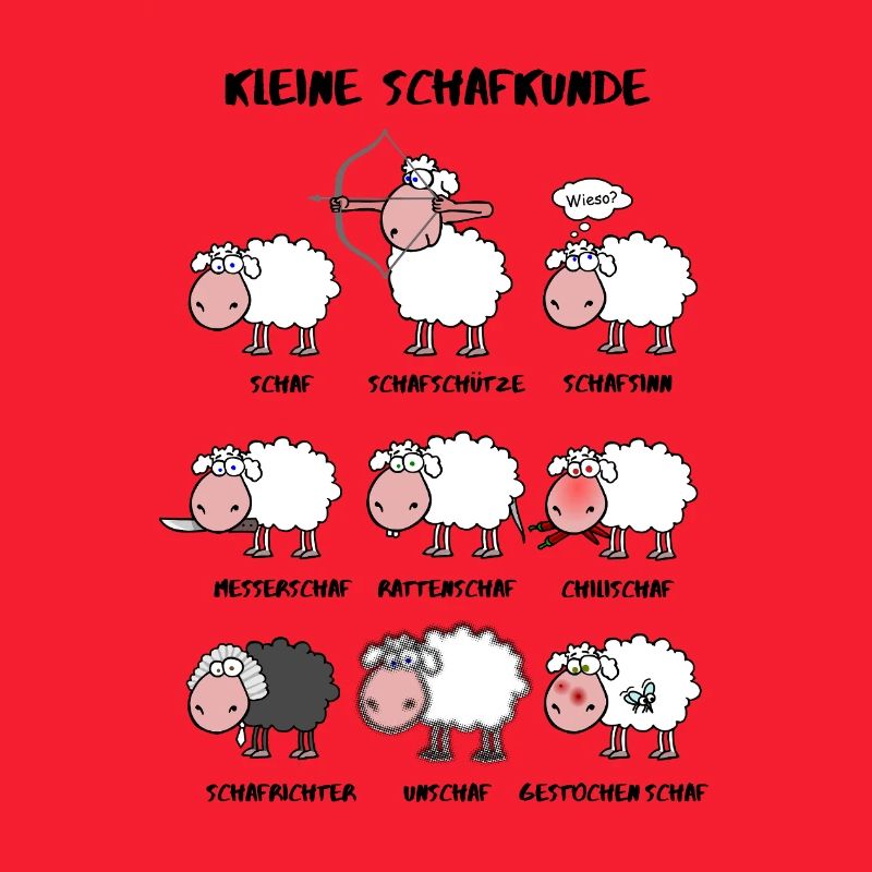 A little sheep knowledge