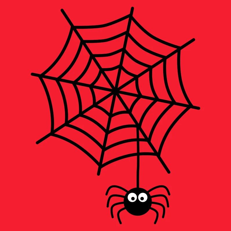 Spiderweb Spider