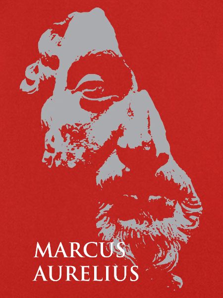 Marcus-Aurelius-Porträt in Grau