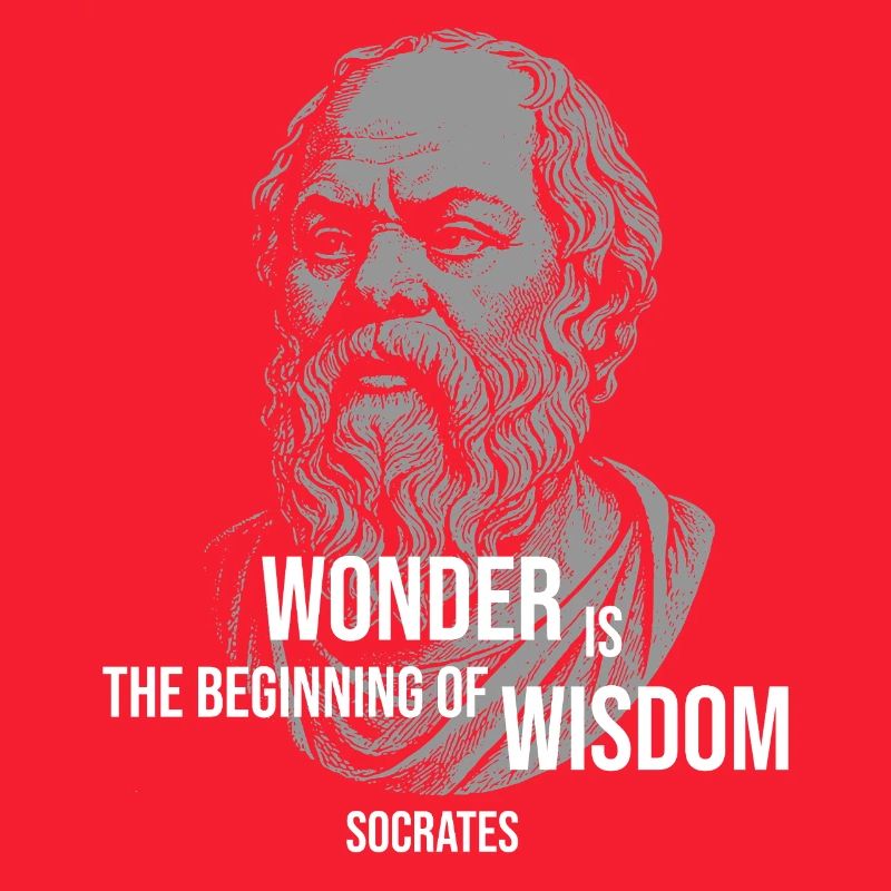 Citation de Socrate Wonder Tee