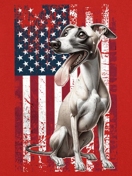 Whippet US Windhund