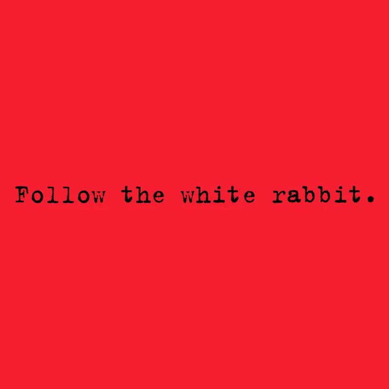Follow the white rabbit Programming Informatique