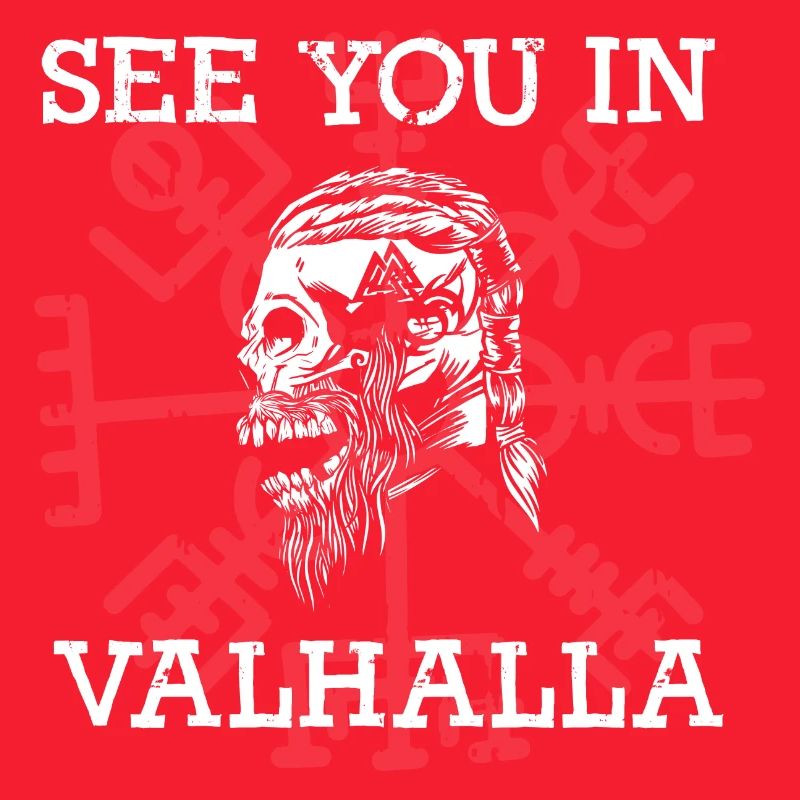 Rendez-vous à Vallhalla Compass Vikings