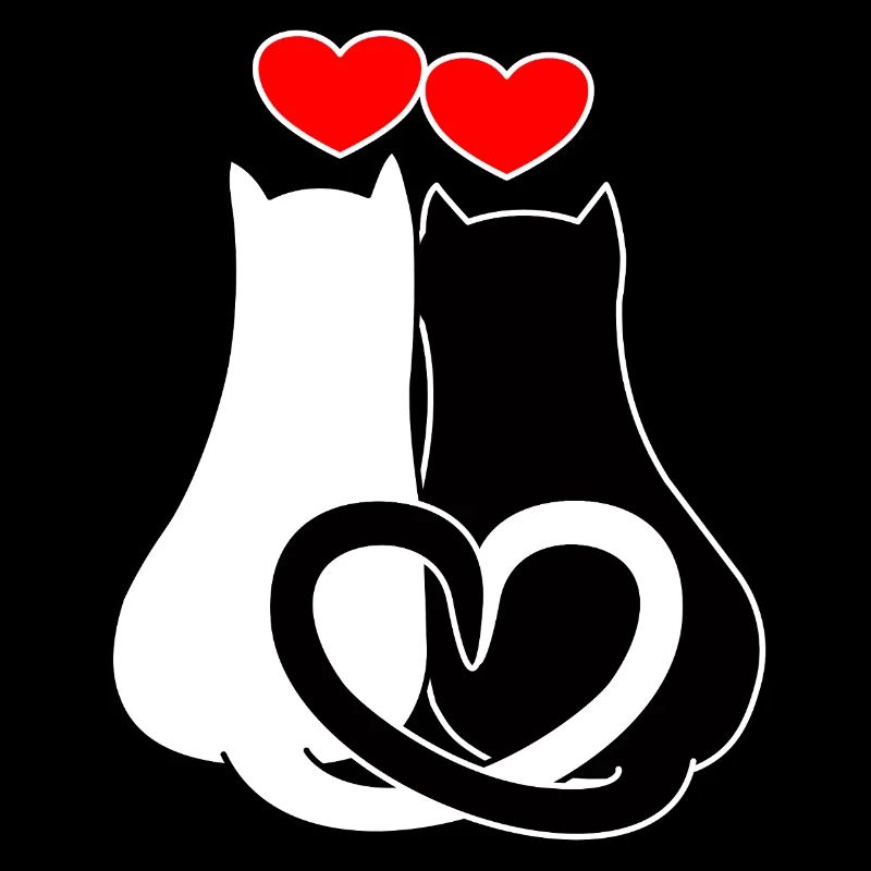 Chats amoureux de cœurs