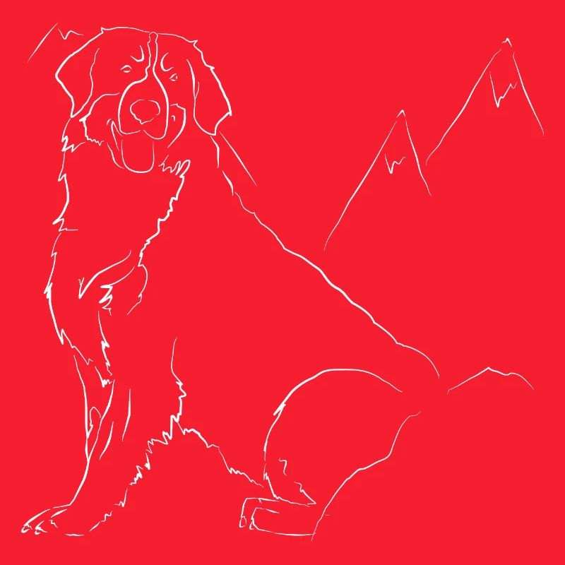 Bernese Mountain Dog
