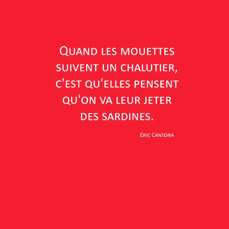 Möwen - Eric Cantona