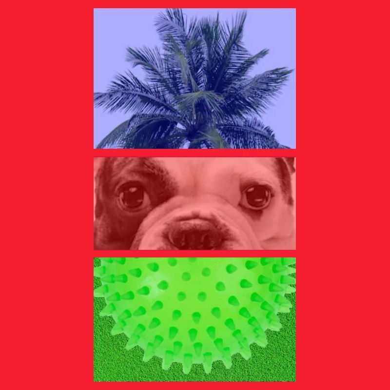 Triptych Palm Tree – Dog – Spikes