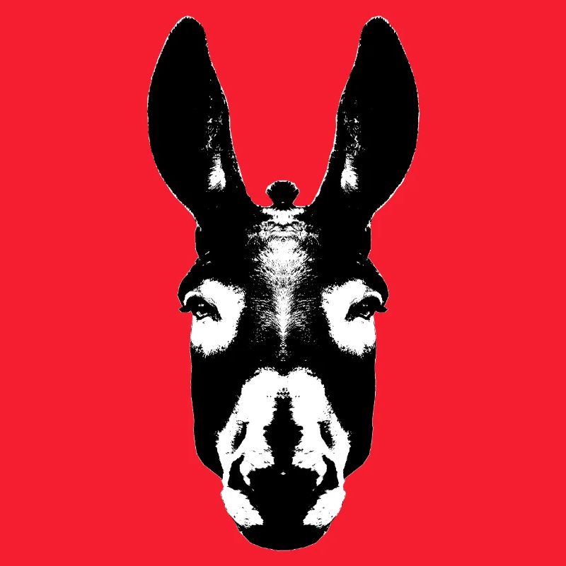 Donkey / Head