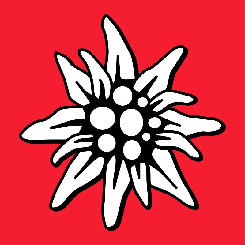 Edelweiss 2c petit