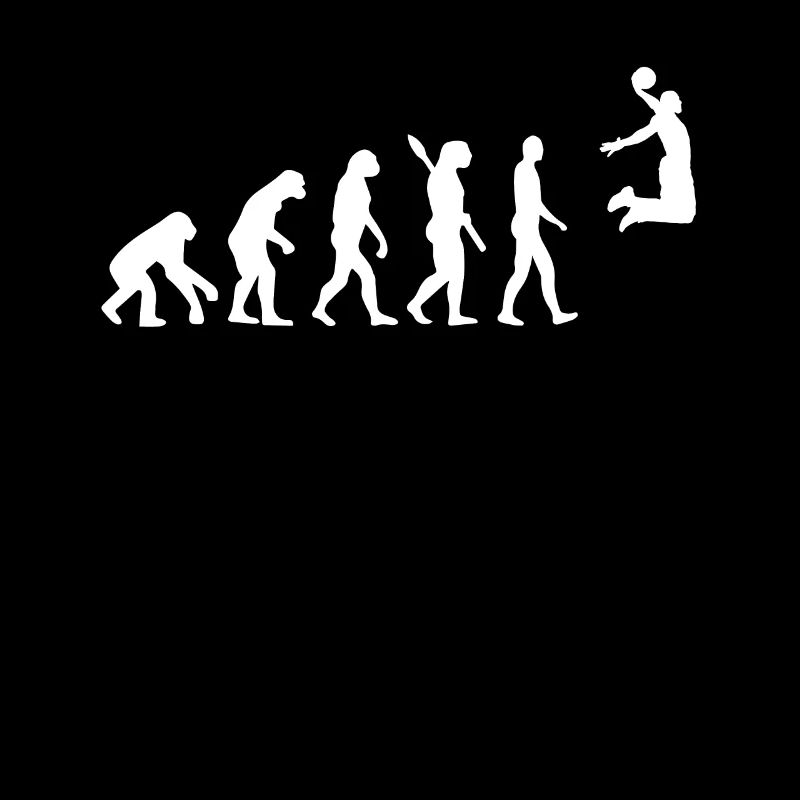 Evolution du basket