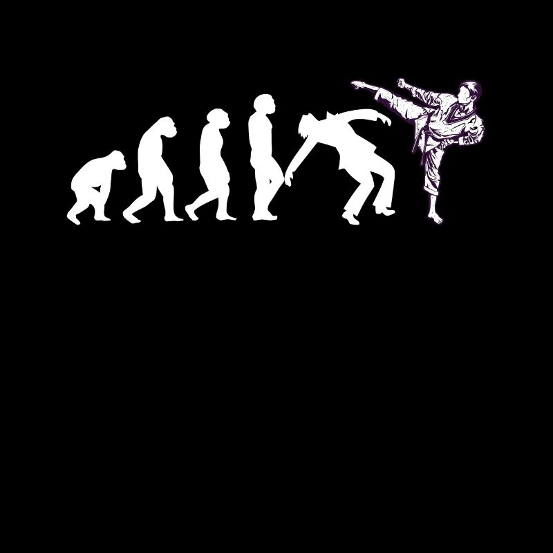 Evolution funny taekwondo karate aikido kickboxing