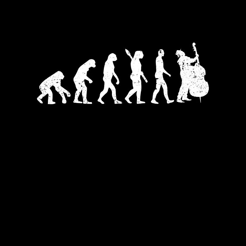 Contrebasse Evolution