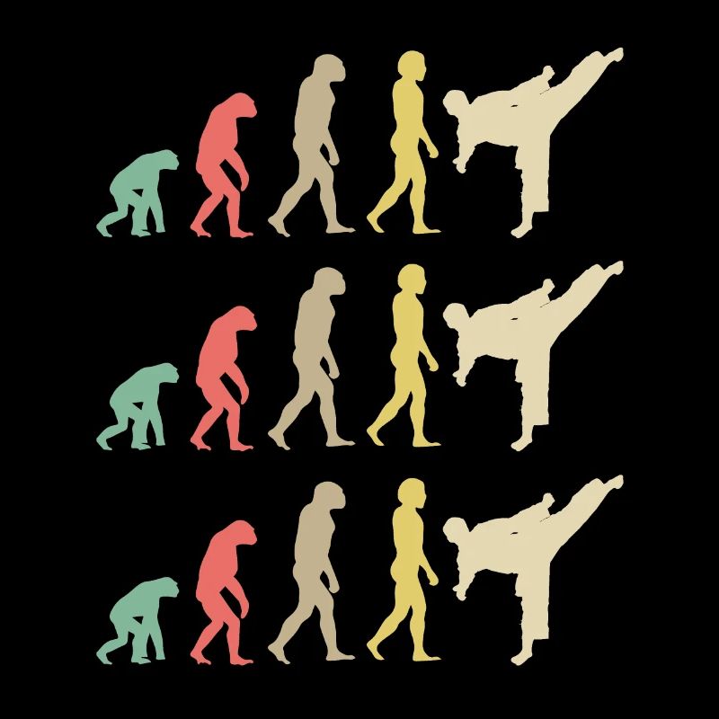 Karate Evolution - Taekwondo