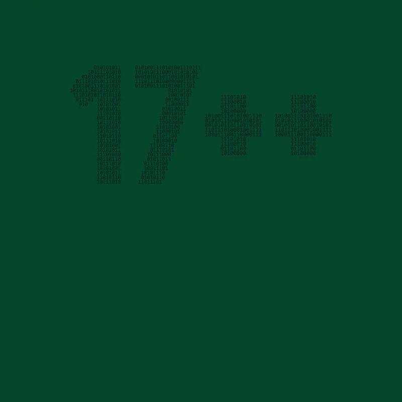 17++ Software Developer Coder Engineer 18th