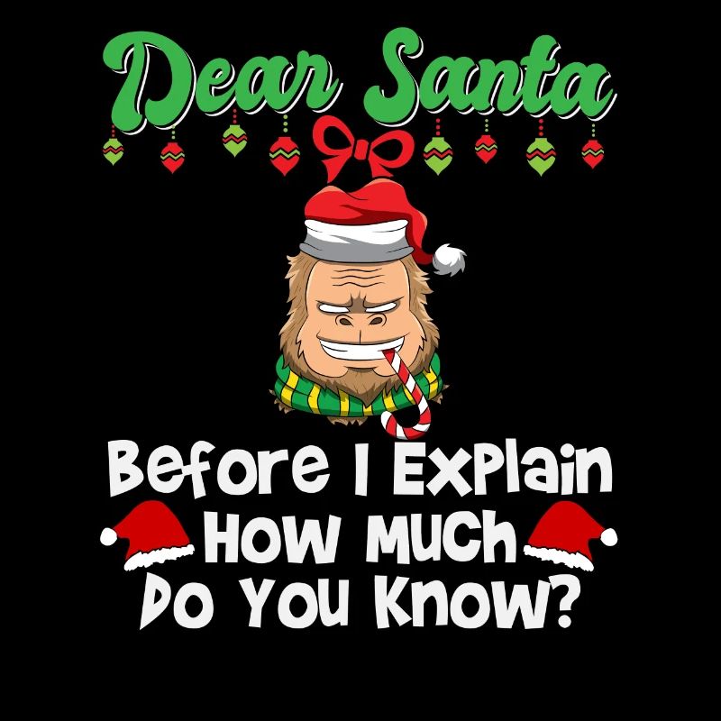 Dear Santa Before I Explain How Much Do You Know