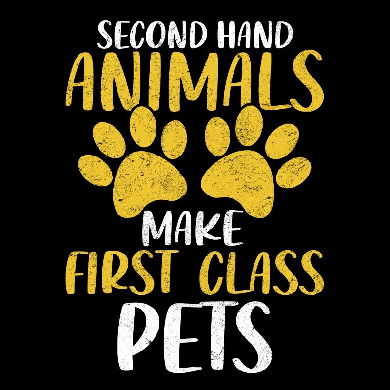 Animaux de seconde main Adoption d’animaux de compagnie Refuge d’accueil