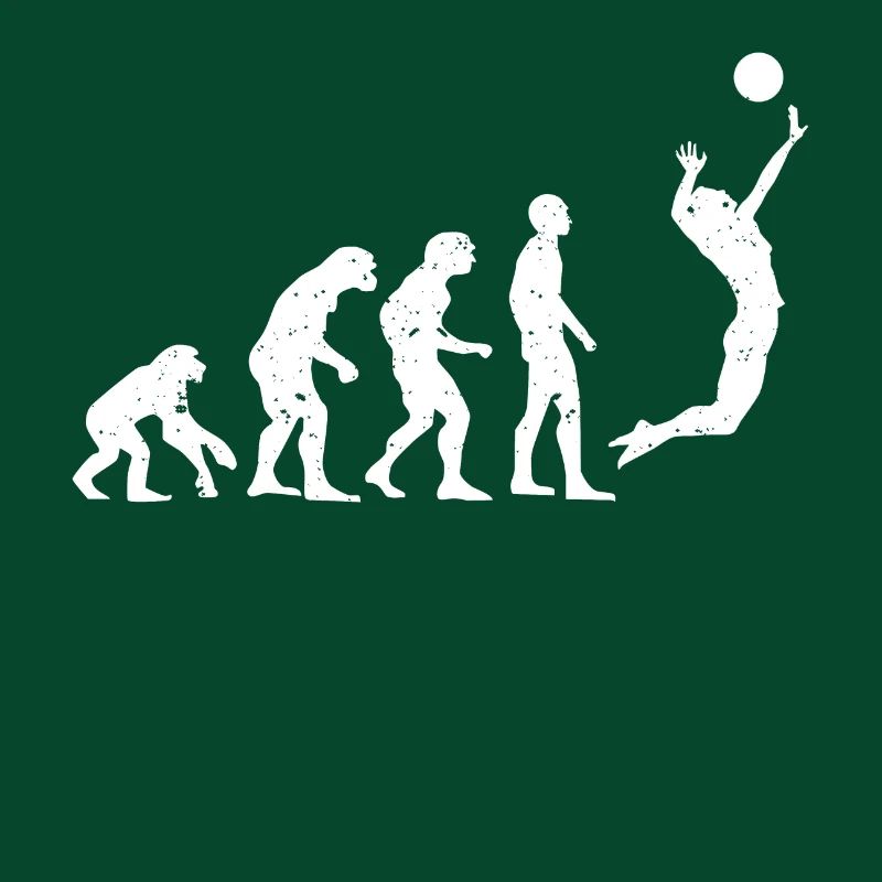 VOLLEY-BALL EVOLUTION!