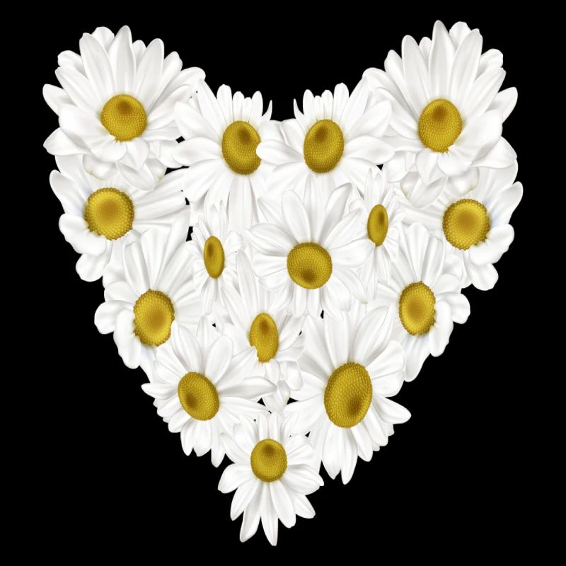 Gänseblümchen im Herzen