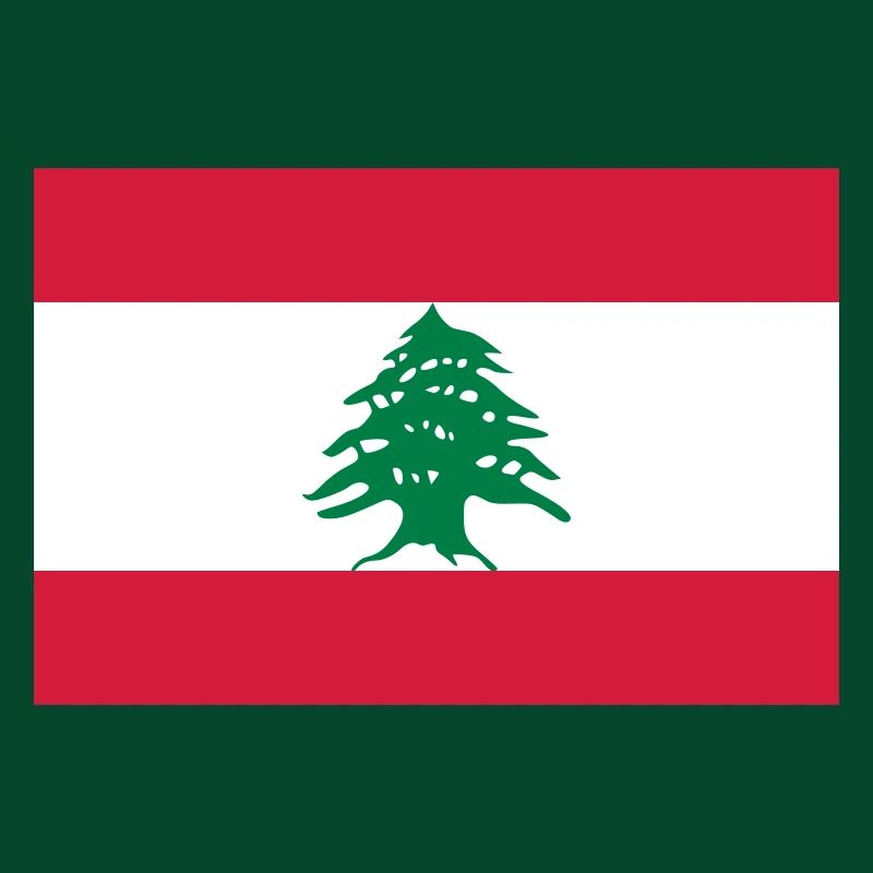 Drapeau national du Liban