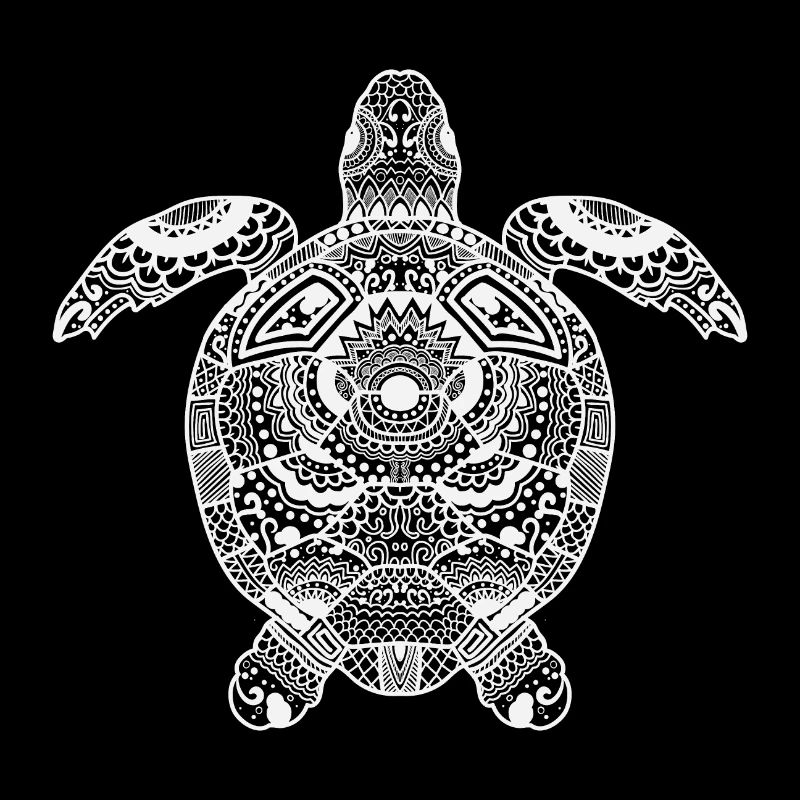 turtle