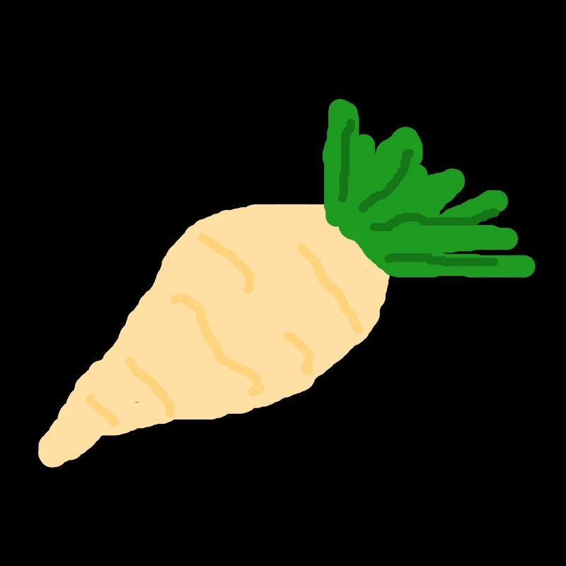 Radish sugar beet root vegetables