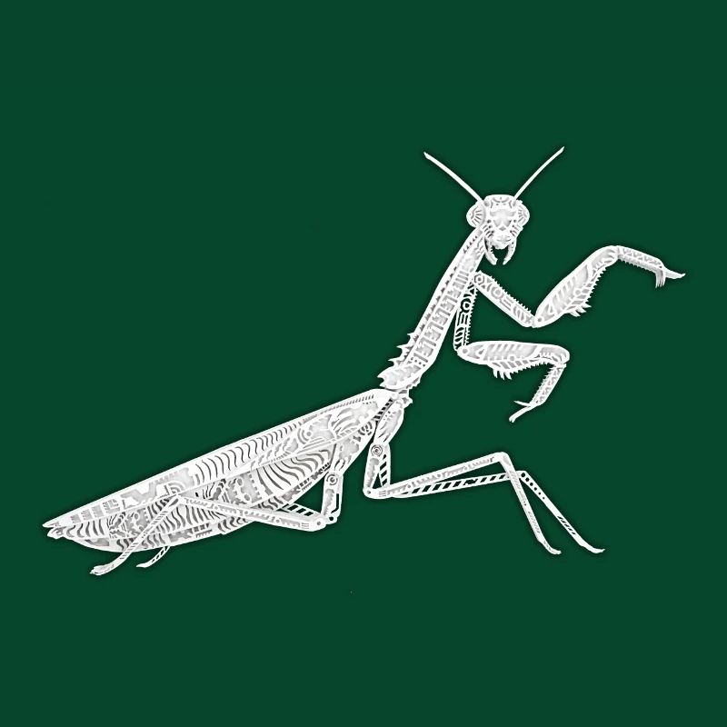 Gottesanbeterin