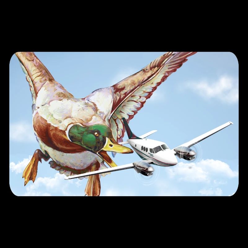 Attaque de canard (version 1 sans bulle de dialogue)