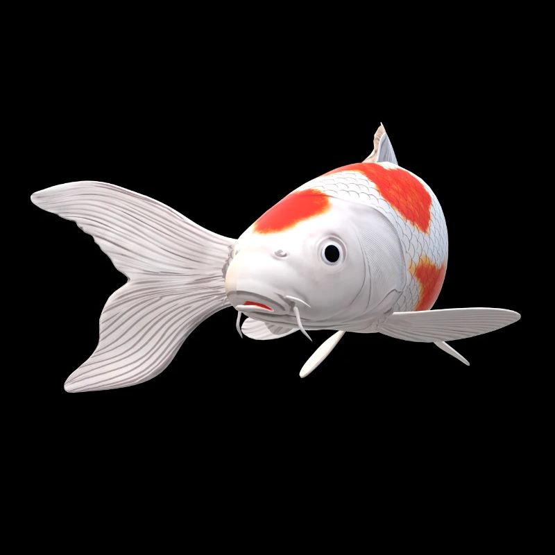 3D Koi