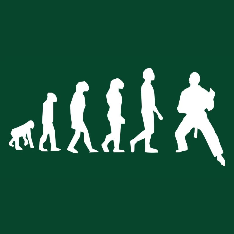 Art martiaux évolution