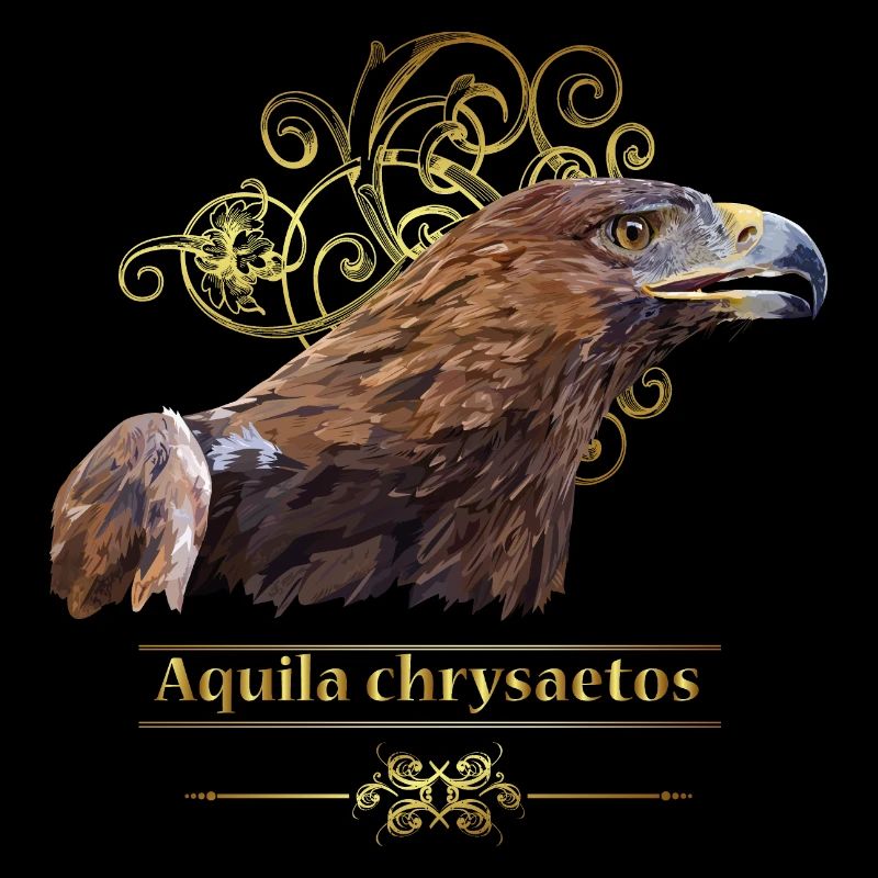 Golden Eagle