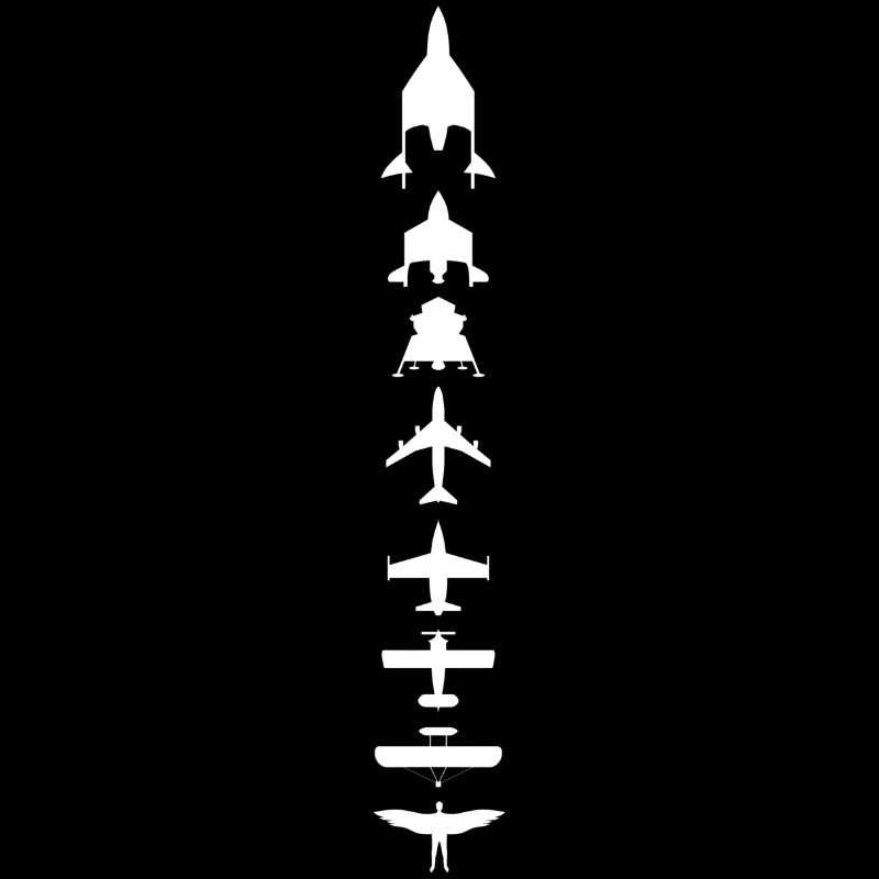 Evolution des Fliegens