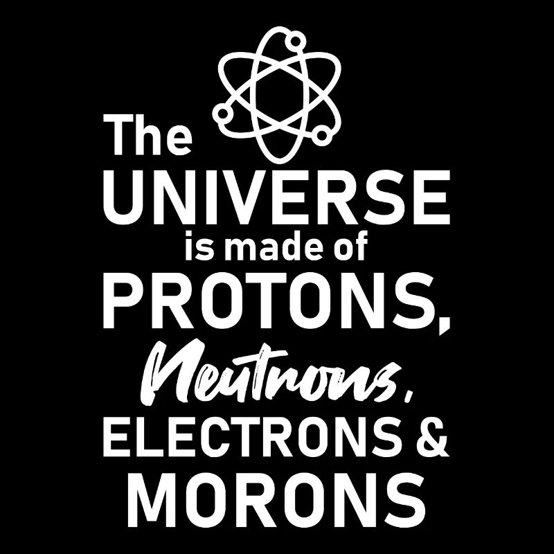 Morons Physics Physicist Quote Gift Funny