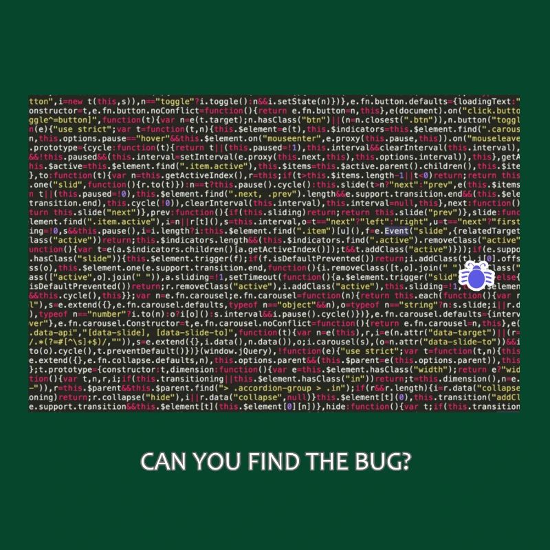 Programmer, coder, bugs, debugging
