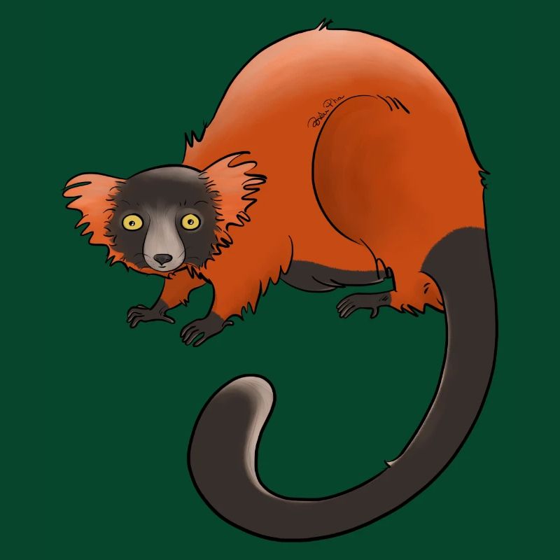 Rufous vari, Lemur oder nichts
