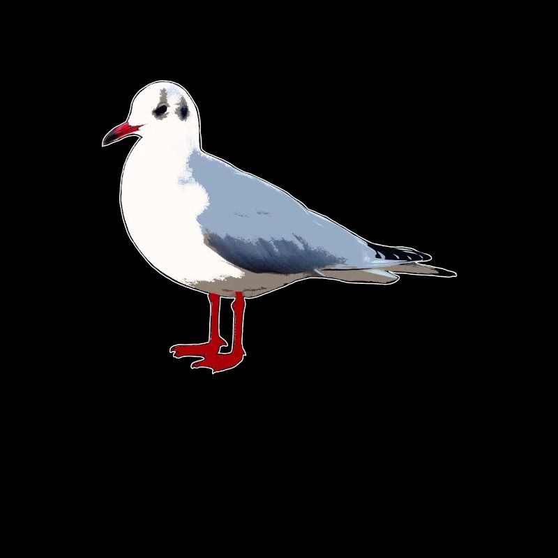 gull